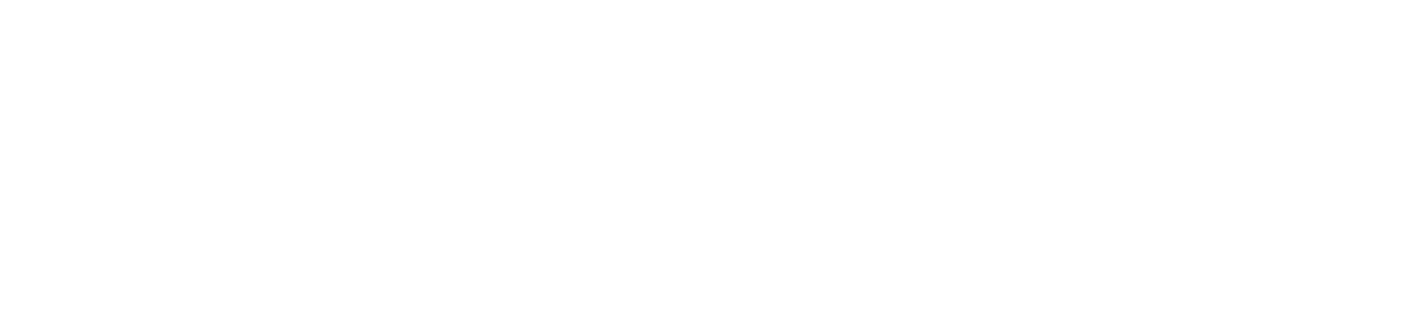 Shop pay